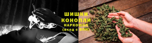 PSILOCYBIN Арсеньев