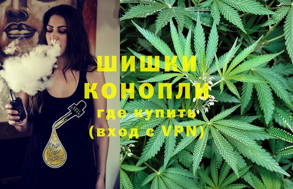 индика Волоколамск