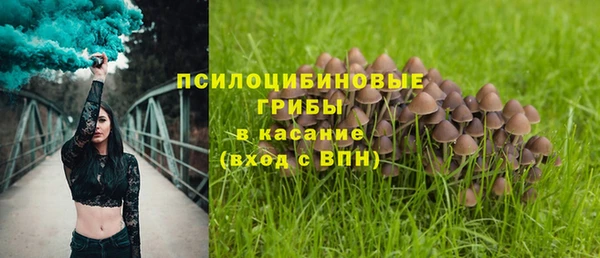 PSILOCYBIN Арсеньев