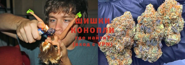 PSILOCYBIN Арсеньев