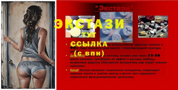 индика Волоколамск
