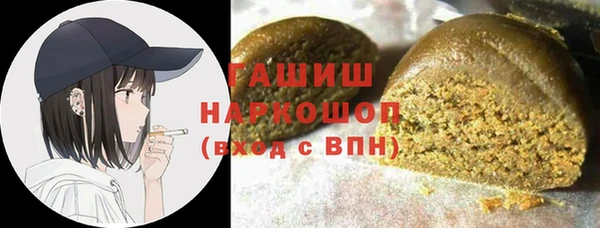 индика Волоколамск